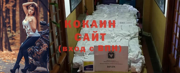 тгк Алзамай