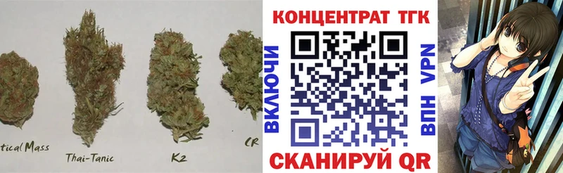 ТГК концентрат  где найти   Светлоград 