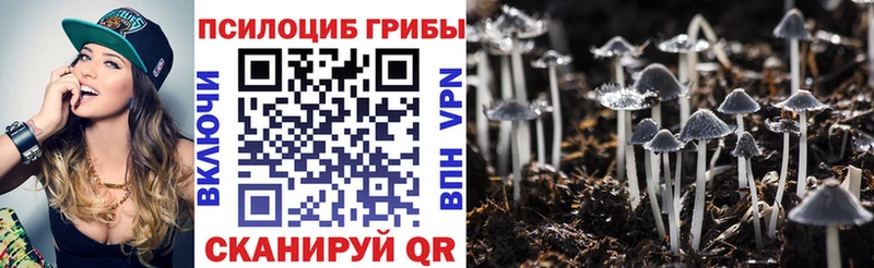гидра рабочий сайт  Светлоград  Псилоцибиновые грибы Magic Shrooms 